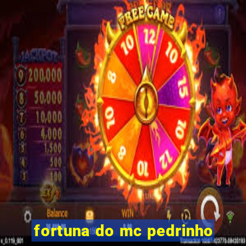 fortuna do mc pedrinho